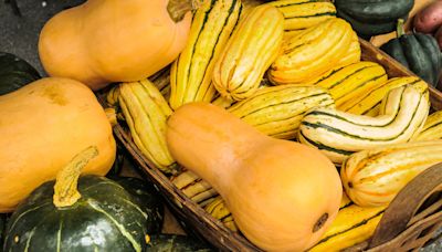 25 Types of Squash—and How to Use Them