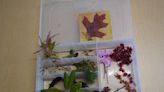 Plant Lovers’ Almanac: Break the ice at meetings with botany in a box