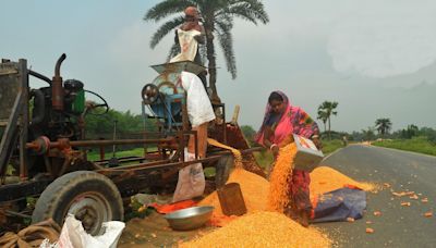 Ethanol used in petrol now more from maize, damaged foodgrains than sugar