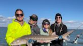 Anglers, scientists consider potential changes in sturgeon regulations