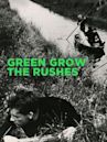 Green Grow the Rushes (film)