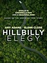 Hillbilly Elegy (film)