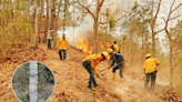 ¿Hallaron en Los Chimalapas un monolito prehispánico durante incendios en selva de Oaxaca? Esto es lo que se sabe