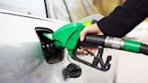 Petrobras (PETR4) anuncia reajuste nos preços da gasolina e do gás de cozinha
