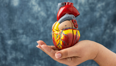 World Heart Day: Rising coronary artery disease among population below 40 years a concern, say PGI doctors