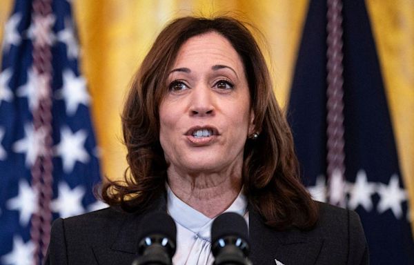 WATCH: 'Clueless' Kamala Harris Shouts 'Shrimp and Grits' When Asked About Hamas Ceasefire Deal in Gaza