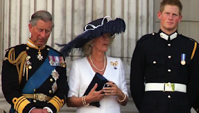 Prince Harry’s Past Criticism of Queen Camilla “Still Bothers” King Charles, and He Feels “Torn” Between His Wife...