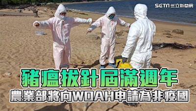 豬瘟拔針屆滿週年 農業部向WOAH申請為非疫國