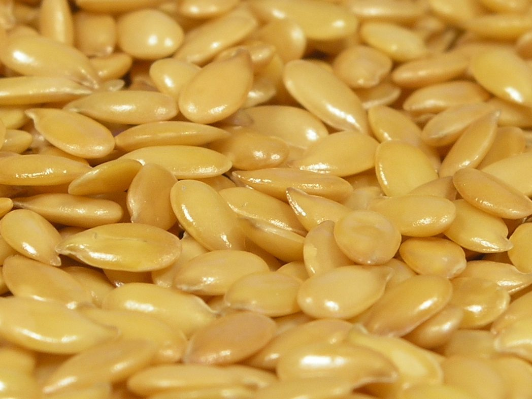 File:Flax seeds.jpg - Wikipedia, the free encyclopedia