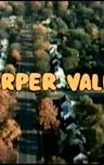 Harper Valley Sentinel