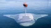 Cómo es la mantarraya robot de EEUU para misiones submarinas