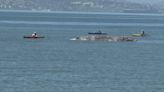 Dead whale found off Alameda coast likely died from blunt force trauma from ship strike: scientists