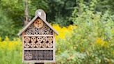 What Is a Bee Hotel? Plus How to Install One to Support Pollinators