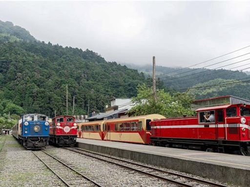 凱米颱風逼近 阿里山林鐵明起分車次預警性停駛 - 生活