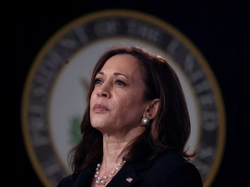 Backed by Biden, Harris moves to lock up White House bid