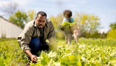 Black Farmers Finally Get Relief After Years Of Federal Discrimination