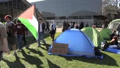 Ondata di proteste filo palestinesi nelle università