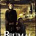 Brumal