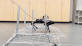 Watch robot dogs train on obstacle courses to avoid tripping