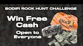 You could win thousands of dollars in the Find the Rock Challenge - East Idaho News