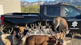...California Department of Fish and Wildlife Announces Ventura County Poaching Convictions Result in Jail Terms and Fines - 87 Licenses, Tags...