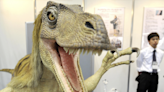 Velociraptor may not have used claws for slashing after all, says study