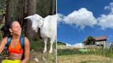 I spent a month working on a farm in Switzerland, and the volunteering made for the best sustainable vacation