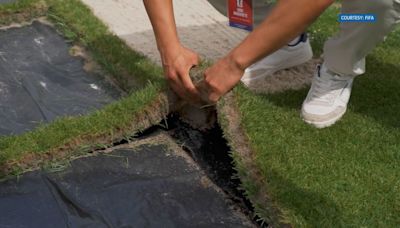 UT collaborating with Michigan State to make perfect turf grass for 2026 FIFA World Cup