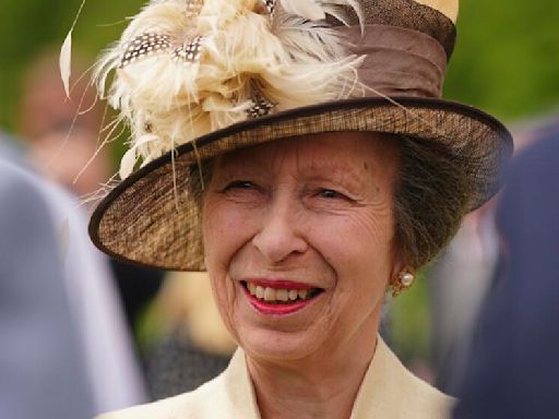 Princess Anne returns home from hospital after suffering concussion in horse 'incident'