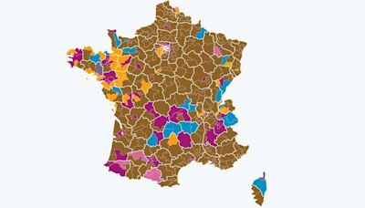 Législatives 2024 : les résultats dans votre ville et votre circonscription