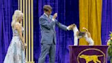 Who will win best in show? All about this week's Westminster Dog Show