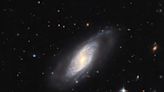 Galactic Wonders: Hubble Explores a Supernova Factory