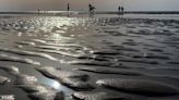 WWII shipwreck still contaminating the North Sea: study