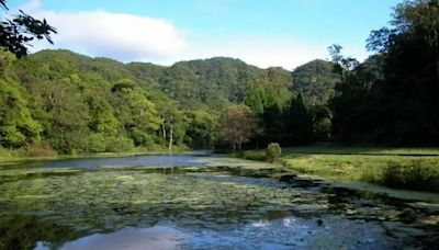 凱米颱風將登陸 福山植物園明起3天預警性休園｜壹蘋新聞網