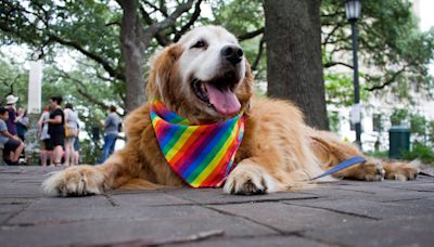 To support Pride, here are some Georgia nonprofits that fight for LGBTQ issues every month