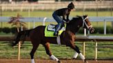 Kentucky Derby odds: Fierceness is the favorite, followed by Sierra Leone