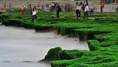 為拍美照踏老梅綠石槽！北觀處籲：在沙灘處欣賞