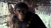 'Kingdom of the Planet of the Apes' reigns at box office with $56.5 million opening