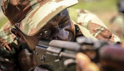 La ONG African Parks denuncia cinco empleados y siete militares muertos en un ataque de hombres armados en Benín