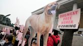 South Korea bans dog meat trade in a historic, and unanimous move.