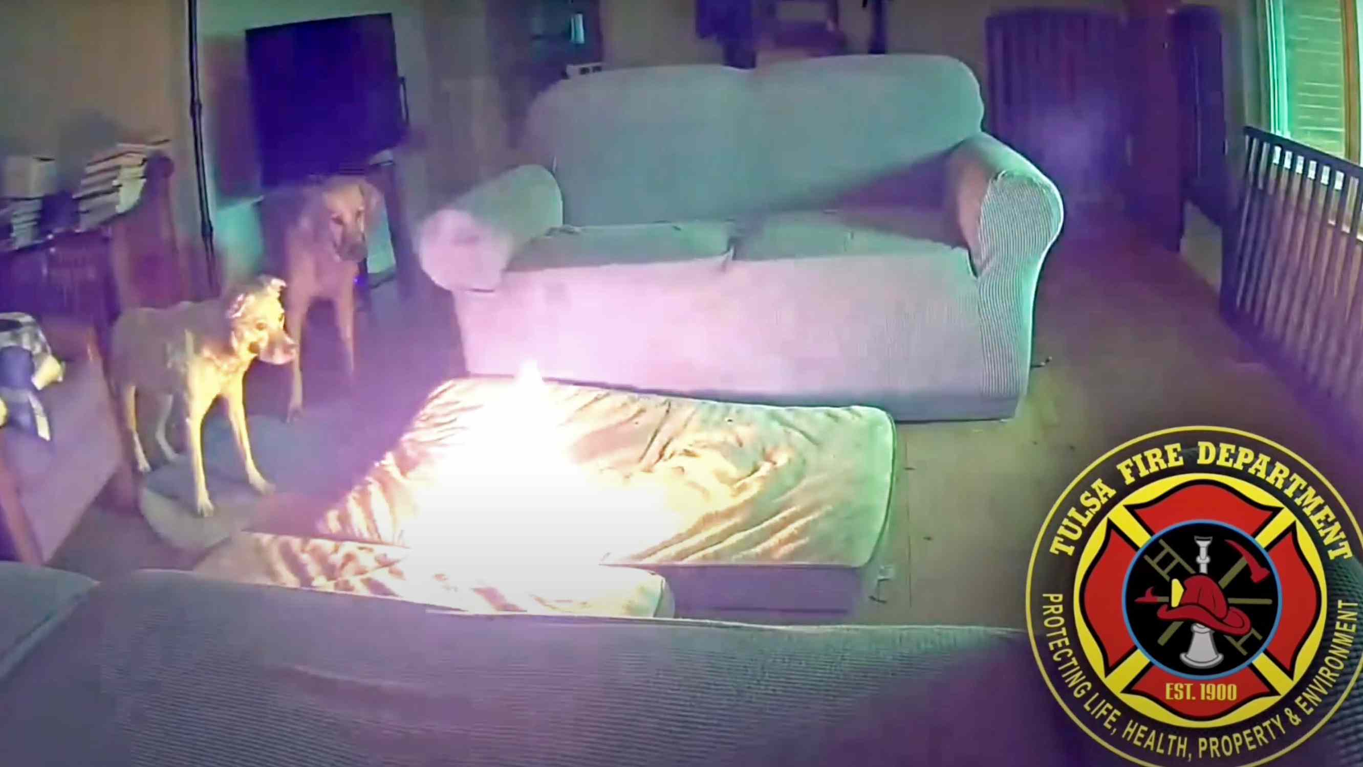 Dog Sets Home on Fire After Chewing Phone Charger Containing Lithium-Ion Battery — Watch the Video