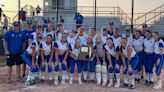 Castle softball showed why it's ranked No. 1 with dominant sectional championship victory