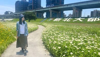 新北河濱「春遊少女的祕密花園」百花盛開到6月