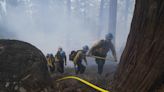 Hellish fires, low pay, trauma: California's Forest Service firefighters face a morale crisis