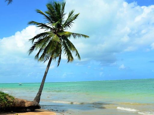 Brasil indica praias e marinas candidatas ao Programa Bandeira Azul