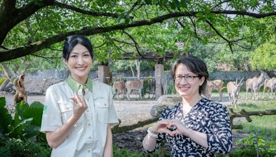 首訪台北市立動物園 蕭美琴看羚羊賀「麟洋配」奪金