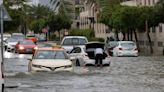 Insurers navigate challenges as UAE floods impact motor sector