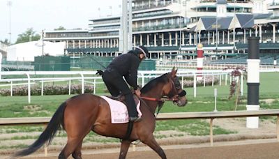 Kentucky Oaks: Where's My Ring Sustains Tendon Injury After Jockey Drama