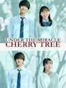 Under the Miracle Cherry Tree