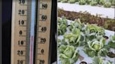 Nova Friburgo registra a menor temperatura mínima do país nesta terça-feira, com 0,2 grau, segundo Inmet; veja ranking do RJ